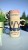 IMG_5485.jpeg